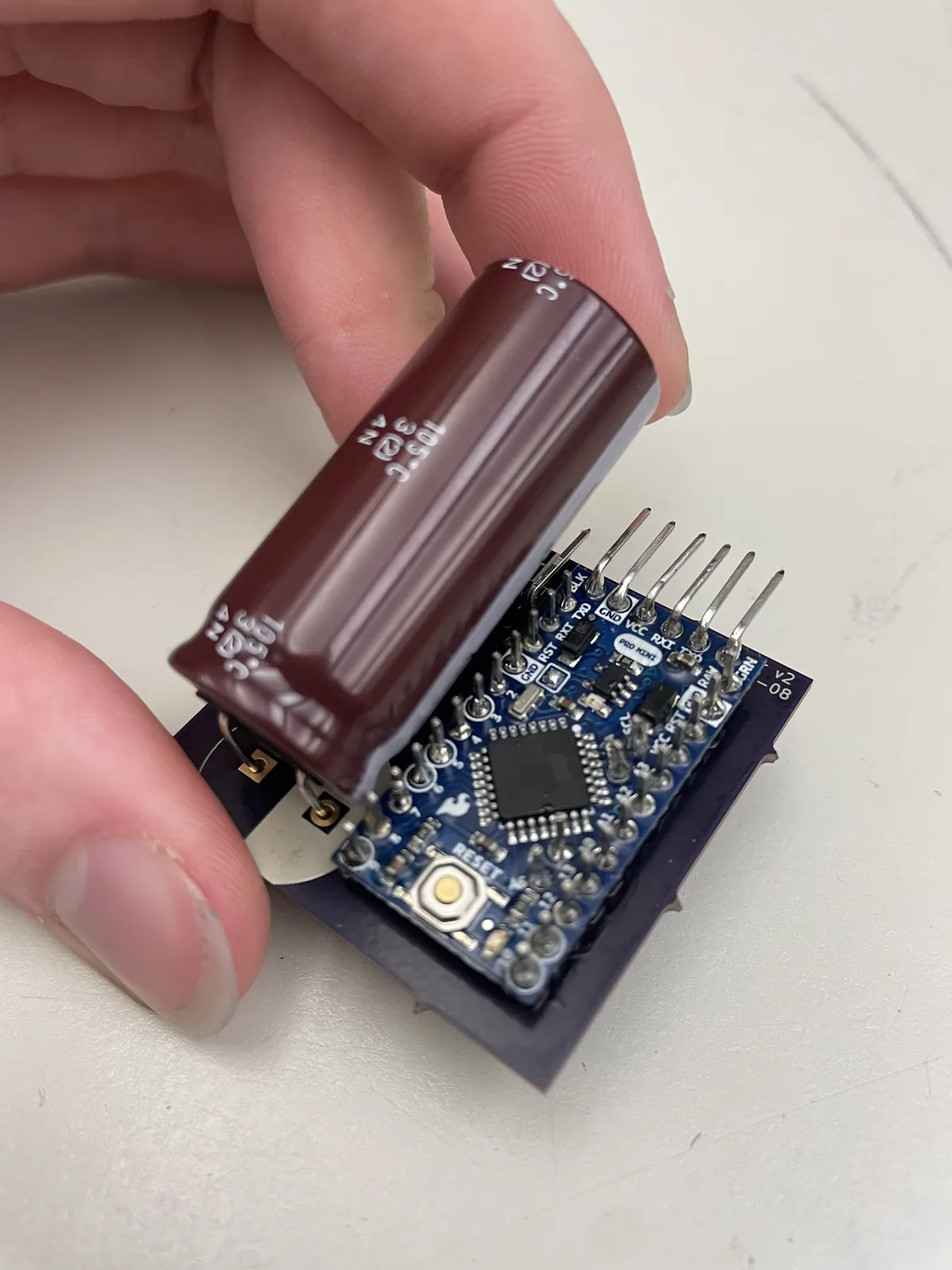Whale detangler prototype